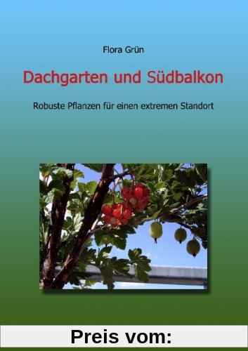Dachgarten und Südbalkon: Robuste Pflanzen für einen extremen Standort
